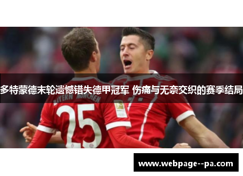 多特蒙德末轮遗憾错失德甲冠军 伤痛与无奈交织的赛季结局 多特蒙德末轮遗憾错失德甲冠军 伤痛与无奈交织的赛季结局