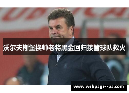 沃尔夫斯堡换帅老将黑金回归接管球队救火