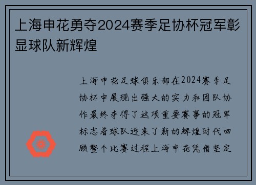 上海申花勇夺2024赛季足协杯冠军彰显球队新辉煌 上海申花勇夺2024赛季足协杯冠军彰显球队新辉煌